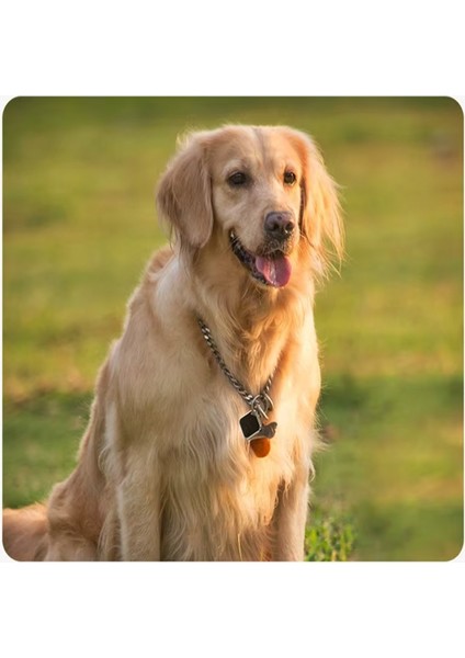 Taşınabilir Mini Gps Takip Cihazı- Apple Uyumlu Smart Takip Konum Cihazı Siyah