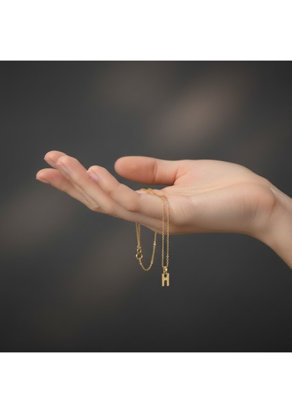 14 Ayar Altın Kolye Ucu Harf H GM9699 1 gr fiyatları