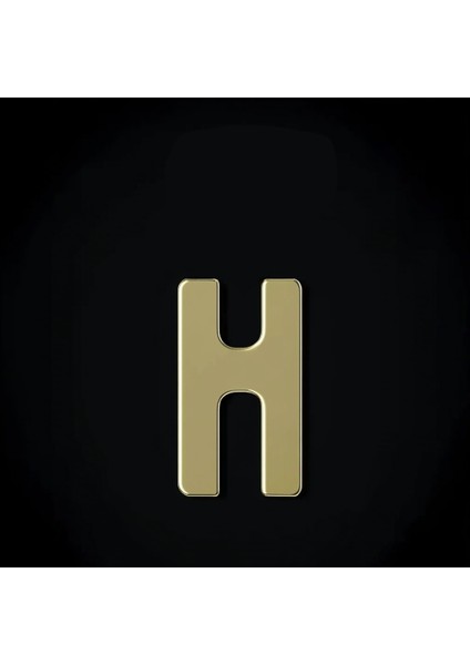 14 Ayar Altın Kolye Ucu Harf H GM9699 1 gr fırsatları