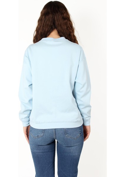 2676 Bisiklet Yaka Çelik Interlok Sweat