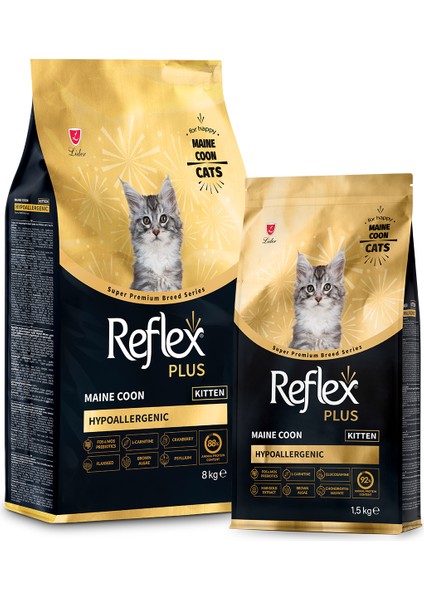 Maine Coon 1.5 kg Yavru Kedi Maması