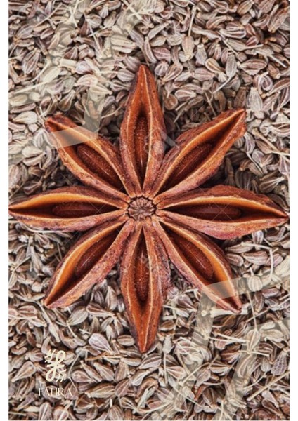 Anason Tohumu 100 G – Doğal Katkısız Çaylık ve Baharat fiyatları