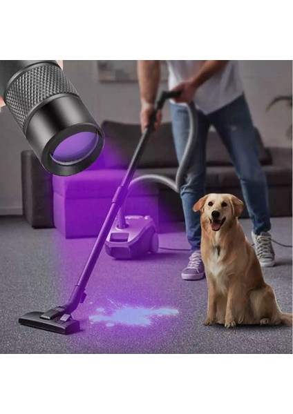 Uv El Feneri 365 Nm Dalga Boyu Doğal Taş Bakteri ve Leke Tespiti Profesyonel Ultraviyole Aydınlatma