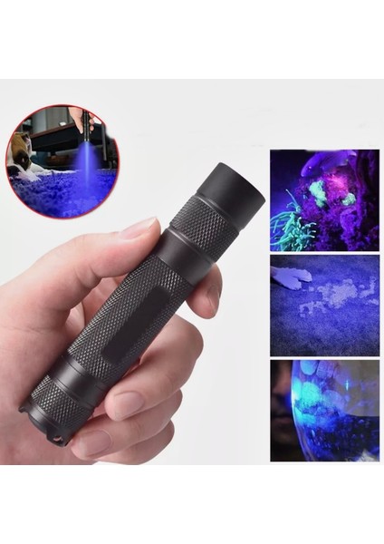 Uv El Feneri 365 Nm Dalga Boyu Doğal Taş Bakteri ve Leke Tespiti Profesyonel Ultraviyole Aydınlatma indirimleri