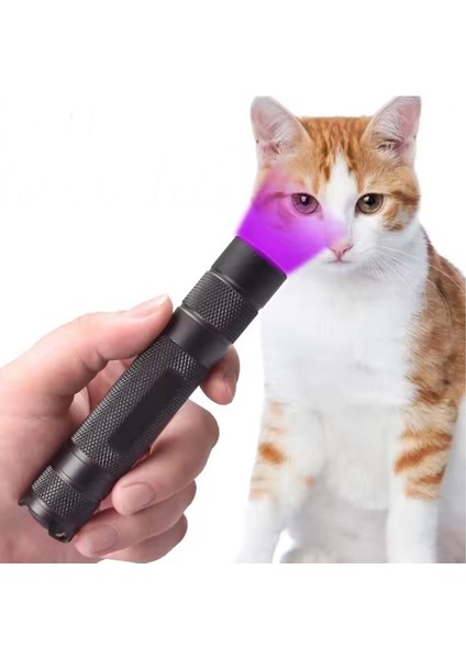 Uv El Feneri 365 Nm Dalga Boyu Doğal Taş Bakteri ve Leke Tespiti Profesyonel Ultraviyole Aydınlatma