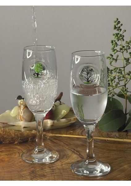 Pembe Çiçekli Kadehi – 2’li Set - (kahve yanı su/kokteyl bardağı) 190 ml indirimleri