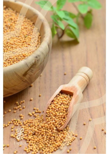 Sarı Hardal Tohumu 100 G – Doğal Katkısız Baharat ve Şifalı Bitki fiyatları