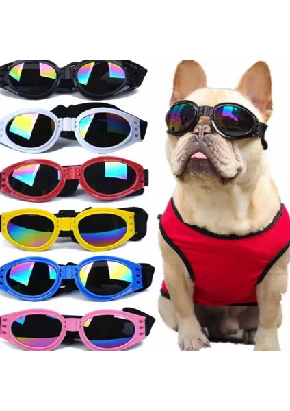 Köpek Güneş Gözlüğü- Uv Korumalı