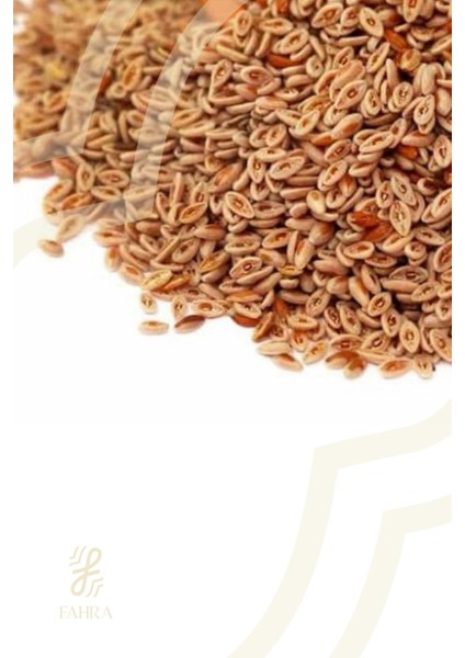 Karnıyarık Otu Tohumu 250G – Sindirimi Destekleyici, Glutensiz fiyatları