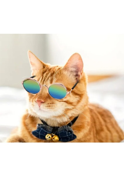 Kedi ve Köpek Güneş Gözlüğü