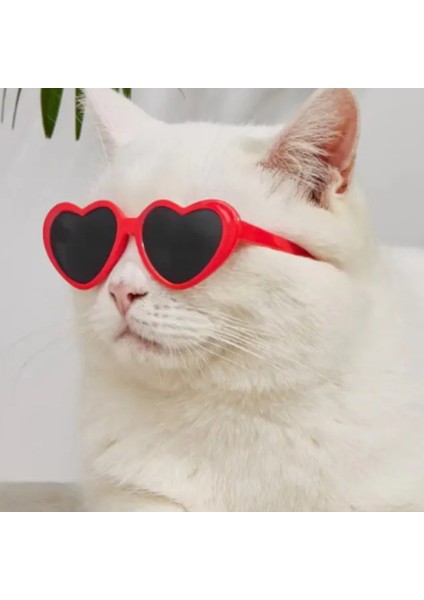 Kedi ve Köpek Güneş Gözlüğü fırsatları