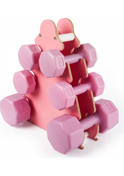 Psspor 3 Set Pembe Renk Dambıl Seti + Stand ( 2 Adet 1kg - 2 Adet 2kg - 2 Adet 3kg + Stand ) fırsatları