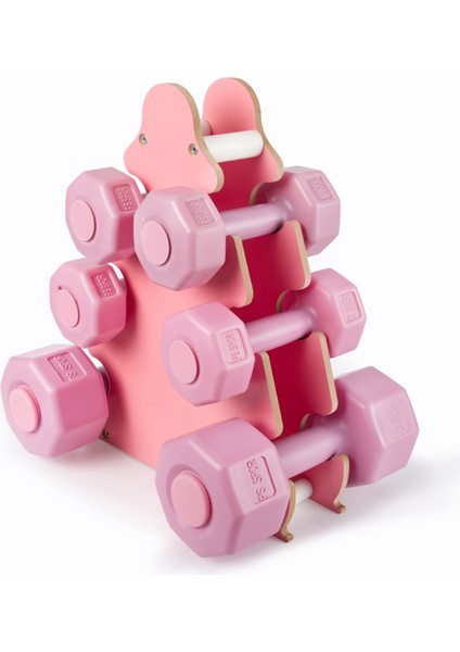 Psspor 3 Set Pembe Renk Dambıl Seti + Stand ( 2 Adet 1kg - 2 Adet 2kg - 2 Adet 3kg + Stand ) indirimleri