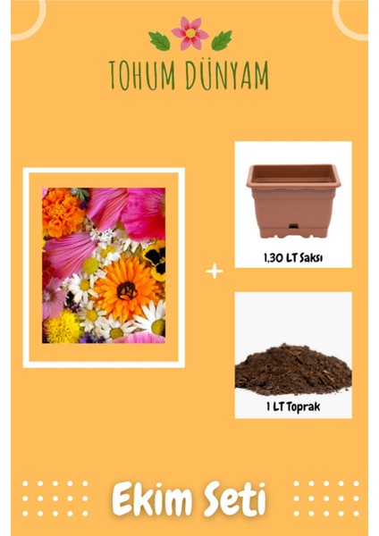 Karışık Çiçek Tohumu Ekim Seti