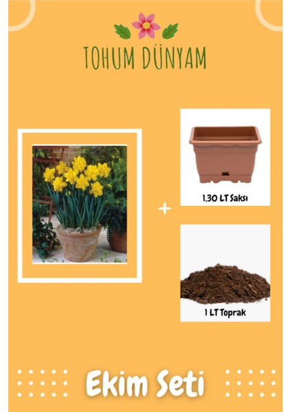 Nergis Çiçeği Tohumu Ekim Seti