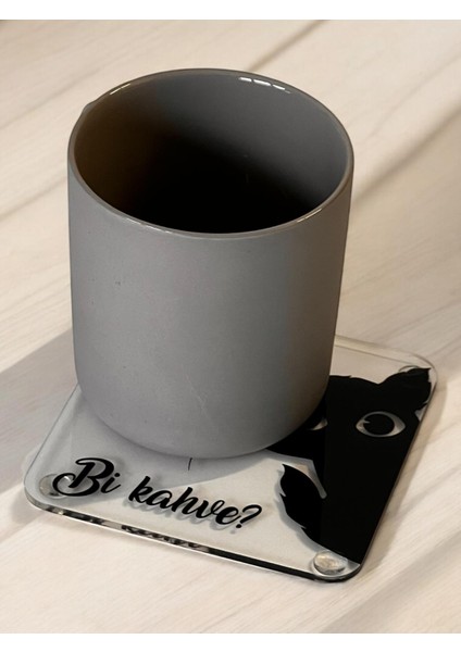 Kedi Desenli Pleksi 4'lü Bardak Altlığı Fincan Altlığı Kupa Altı