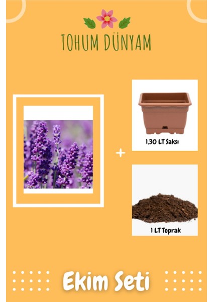 Mor Lavanta Çiçeği Tohumu Ekim Seti