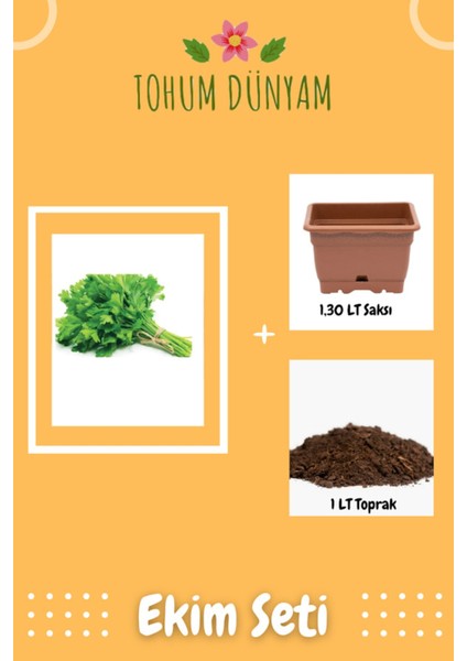 Ithal Yediveren Erkenci Maydonoz Tohumu Ekim Seti