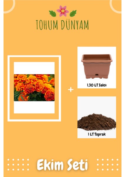 Kadife Çiçeği Tohumu Ekim Seti