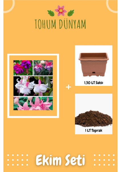 Özel Renk Küpeli Farklı Renkler Tohumu Ekim Seti