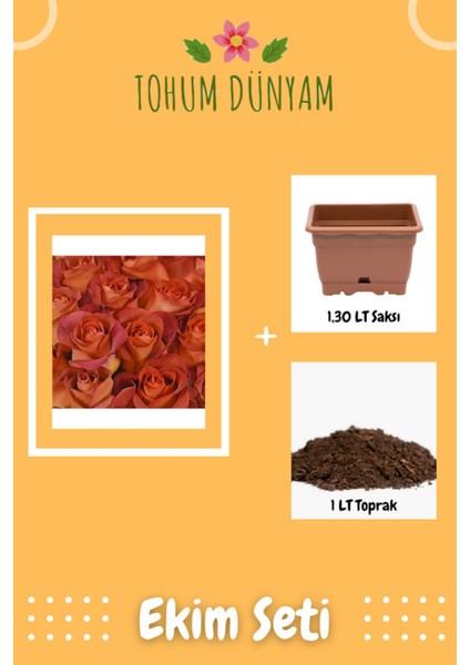 Aşk Gülü Tohumu Ekim Seti