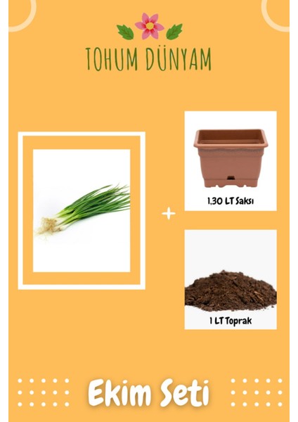 Taze Firik Yeşil Soğan Tohumu Ekim Seti