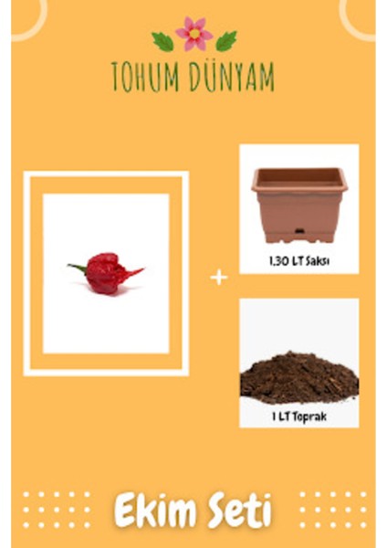 Carolina Reaper Biberi Tohumu Ekim Seti