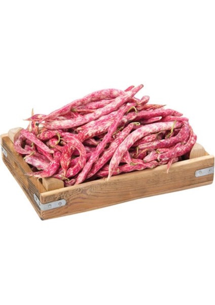 Meşhur Çilli Ayşe Fasulye Tohumu 10 Tohum Fasülye Tohumu