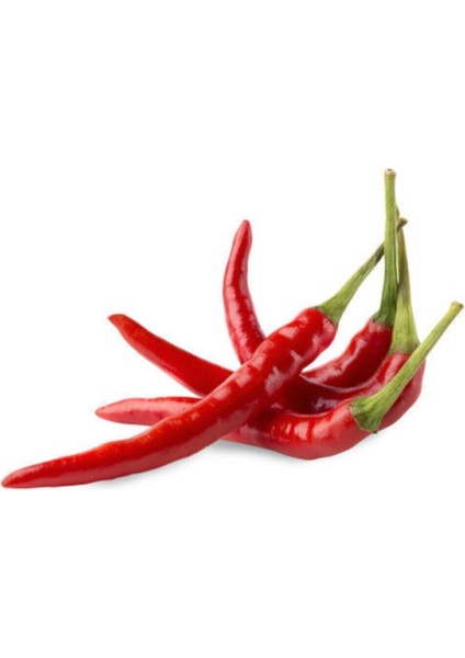 Arnavut Biberi Tohumu / 10 Tohum