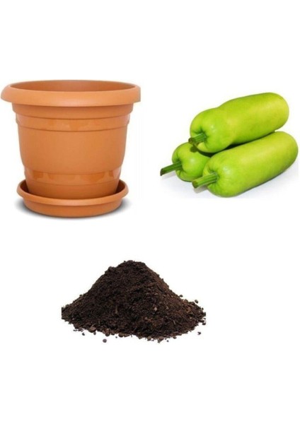 Nadir Çin Kavunu Tohumu Ekim Seti