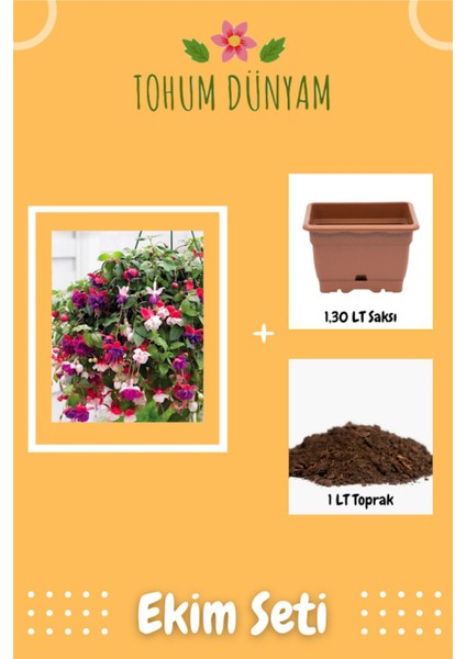 Karışık Renk Küpe Çiçeği Tohumu Ekim Seti