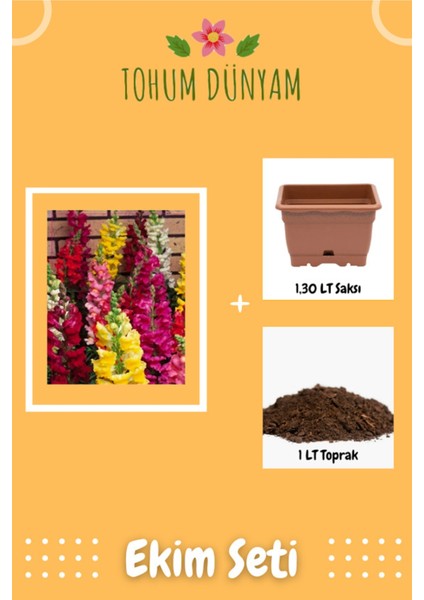 Aslan Ağzı Çiçek Tohumu Ekim Seti