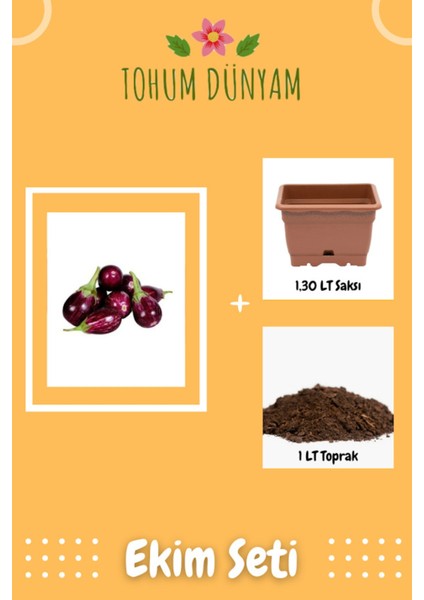 Adana Topak Dolmalık Patlıcan Tohumu Ekim Seti