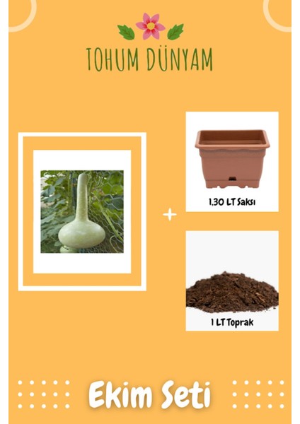 Nadir Su Kabağı Tohumu Ekim Seti