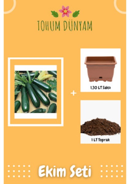 Kolsuz Kara Kabak Tohumu Ekim Seti