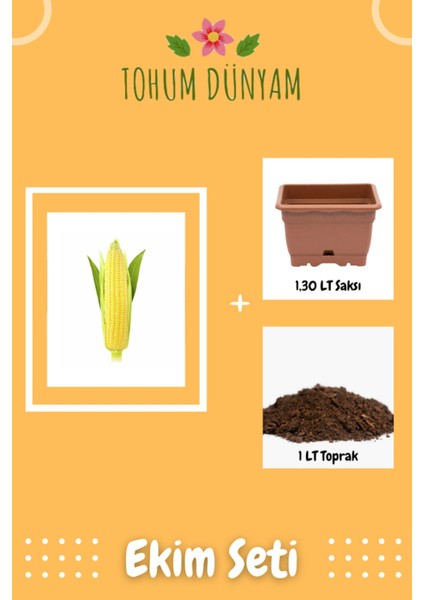 Haşlamalık Süt Mısır Tohumu Ekim Seti