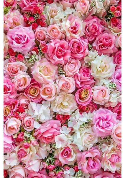 15 Adet Karışık Renkli Gül Tohumu