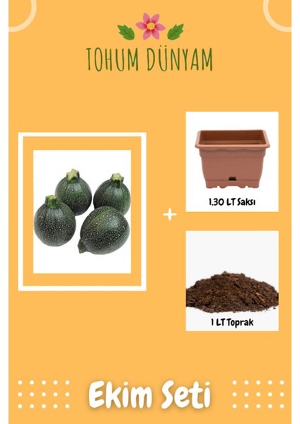 Atalık Topak Kabak Tohumu Ekim Seti
