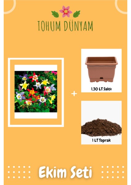 Karışık Renkli Haseki Küpesi Çiçek Tohumu Ekim Seti