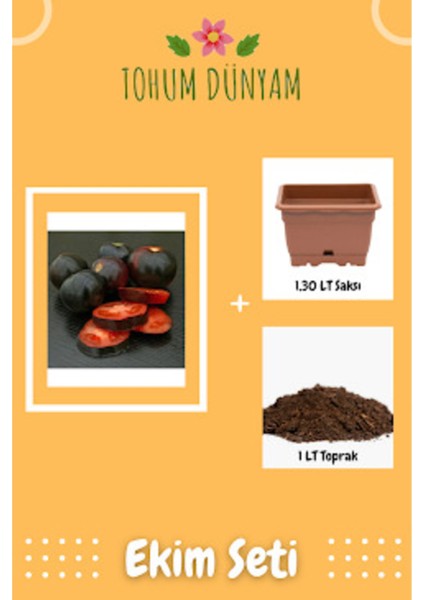 Siyah Grande Domates Tohumu Ekim Seti