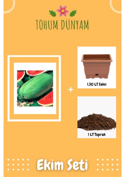 Nadir Ithal Çarliston Gray Karpuz Tohumu Ekim Seti