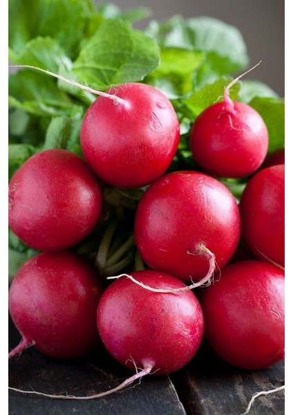 Yerli Fındık Turp Tohumu / 40 Adet Turp Tohumu