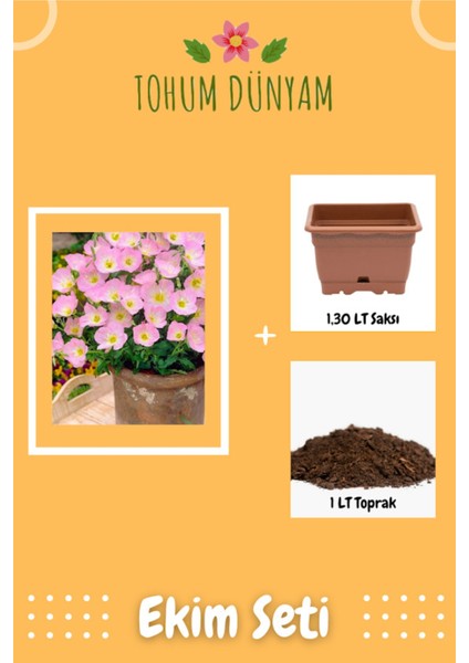 Ezan Çiçeği Pembe Tohumu Ekim Seti