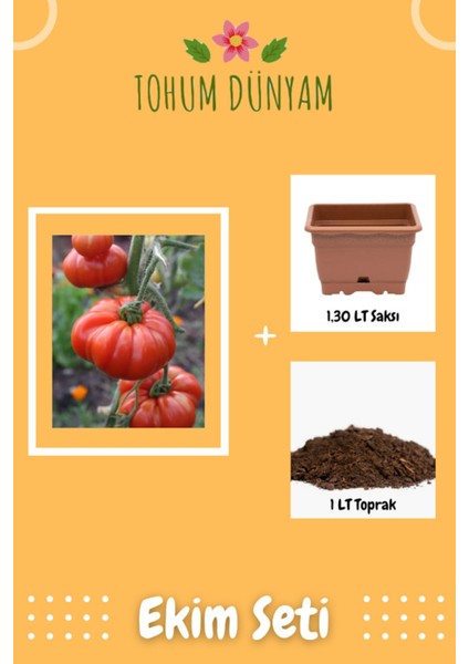 Köy Tipi Pembe Domates Tohumu Ekim Seti