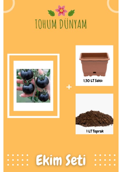Siyah Domates Tohumu Ekim Seti