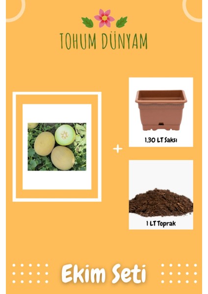 Ananas Kavun Tohumu Ekim Seti