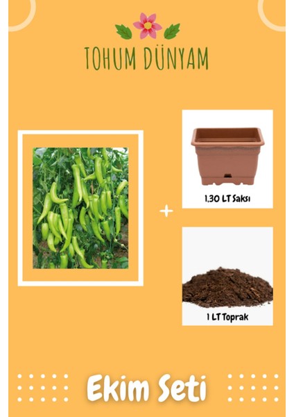 Yediveren Çarliston Biber Tohumu Ekim Seti
