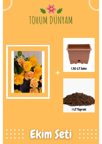 Sarı Gül Tohumu Ekim Seti