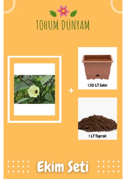 Çiçek Bamya Tohumu Ekim Seti