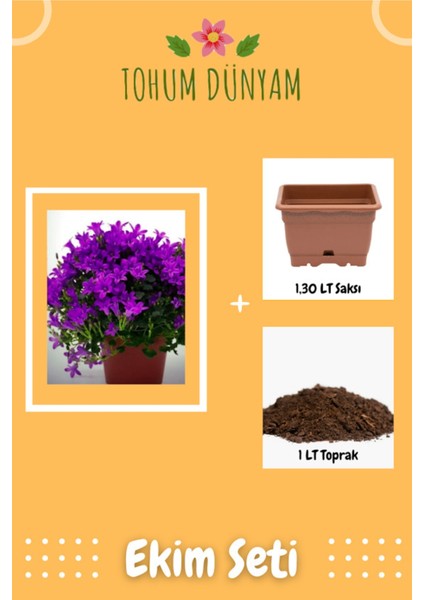 Mor Çan Çiçeği Tohumu Ekim Seti